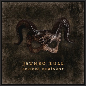 Jethro Tull Lp Curious Ruminant