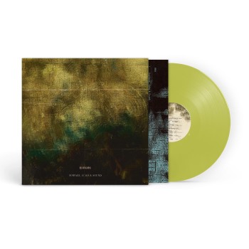 Editors Lp Surface, Echo & Sound